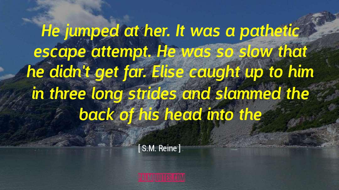 Escape Attempt quotes by S.M. Reine