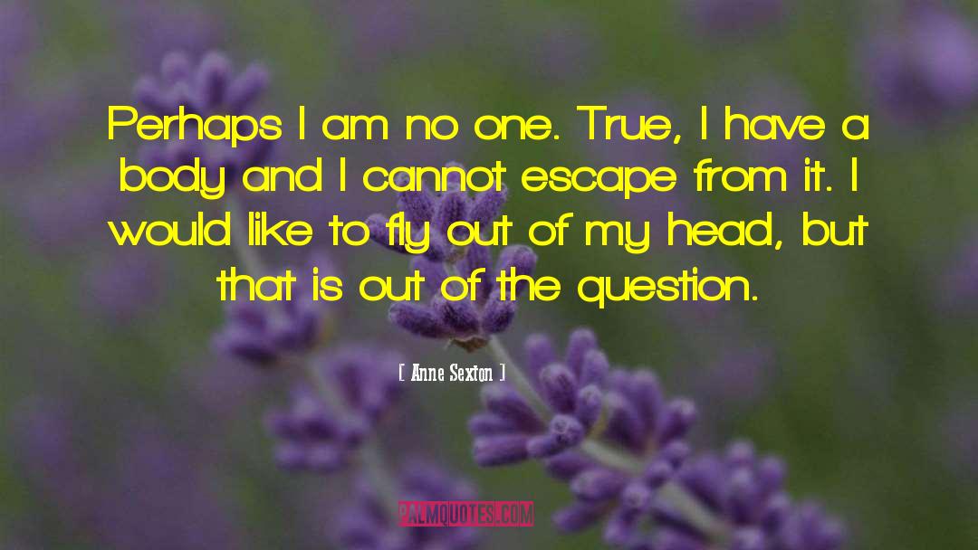 Escape From Drudgery quotes by Anne Sexton