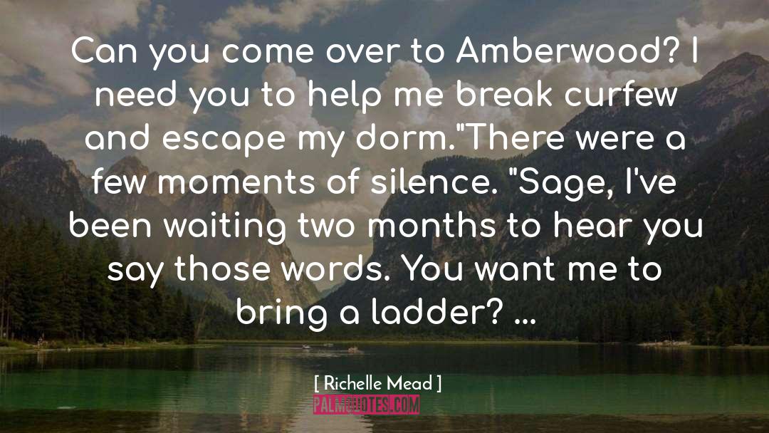 Escape quotes by Richelle Mead