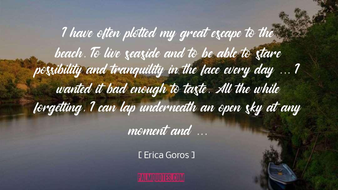 Escape To The Beach quotes by Erica Goros