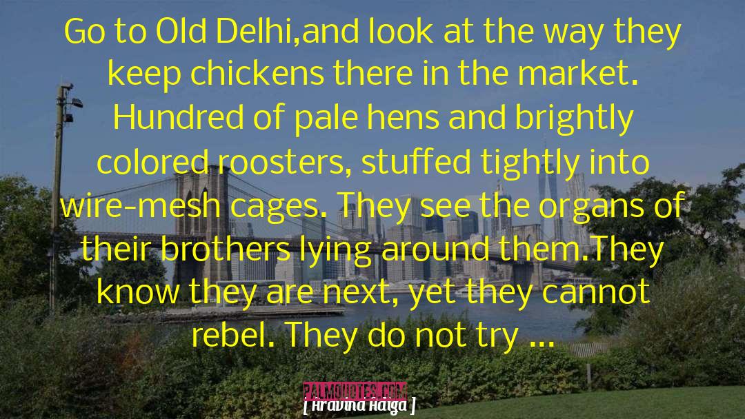 Escorts Delhi quotes by Aravind Adiga