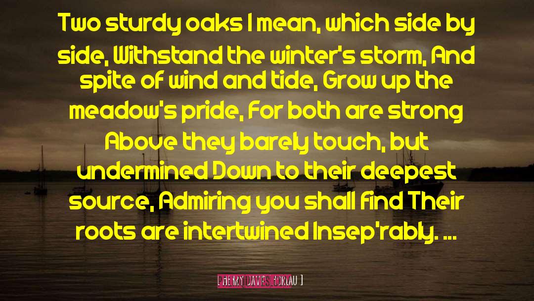 Eshonai Storm quotes by Henry David Thoreau
