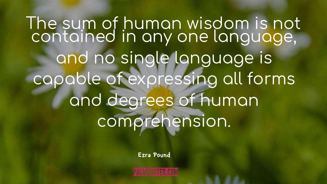 Esoteric Wisdom quotes by Ezra Pound
