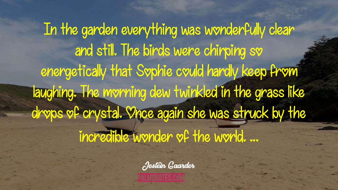 Espinal Crystal quotes by Jostein Gaarder