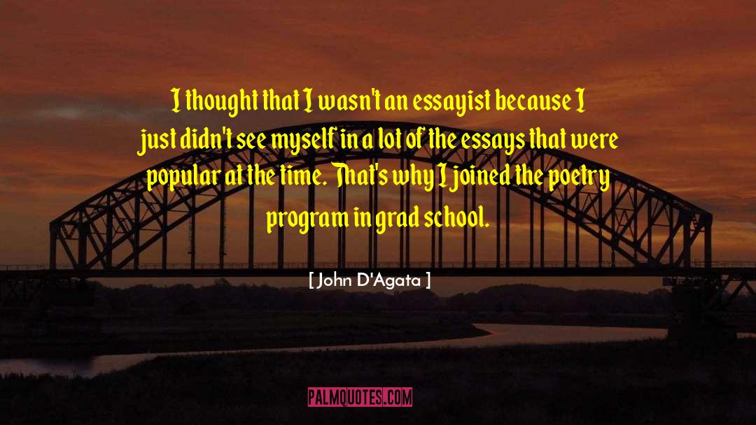 Essayists quotes by John D'Agata