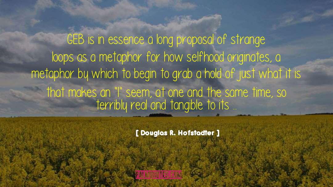 Essence Of Beauty quotes by Douglas R. Hofstadter