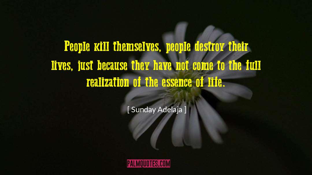 Essence Of Life quotes by Sunday Adelaja