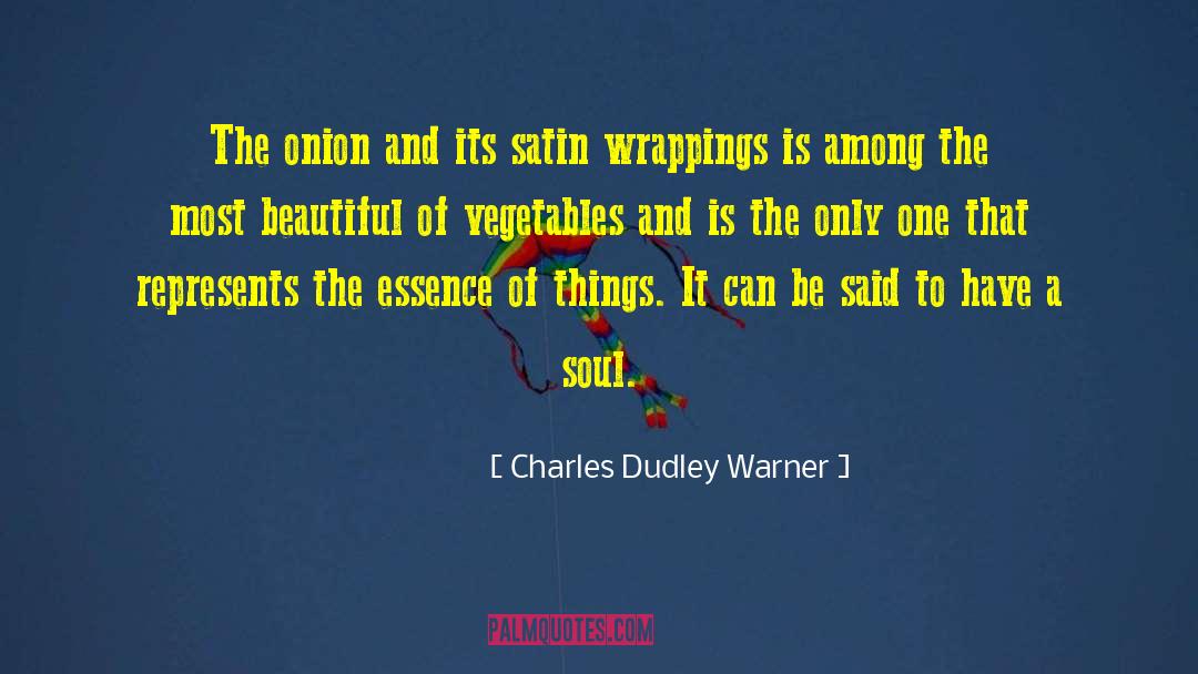 Essence Of Things quotes by Charles Dudley Warner