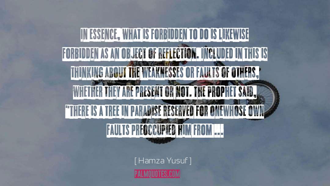 Essence quotes by Hamza Yusuf