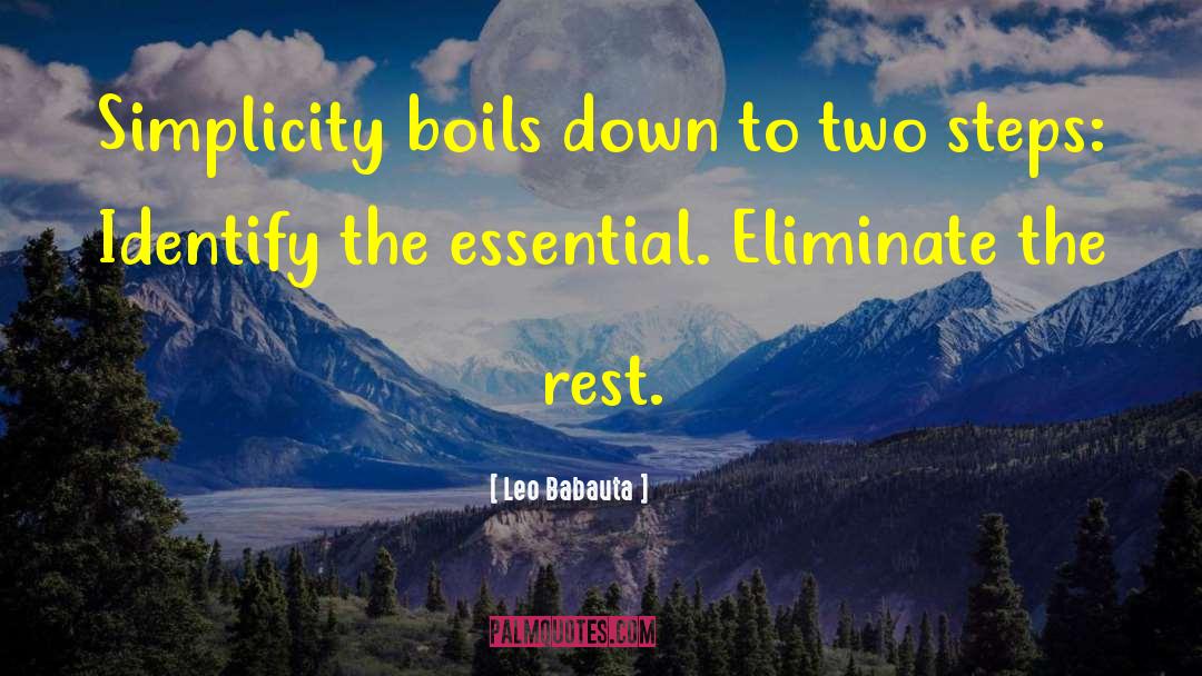 Essential Powers quotes by Leo Babauta