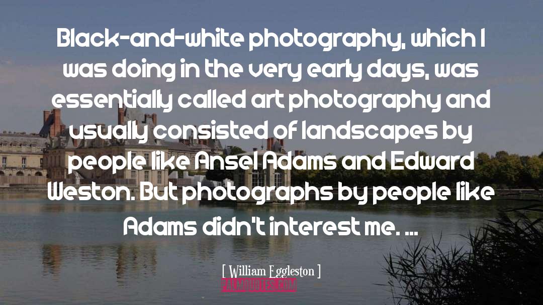 Essentially quotes by William Eggleston