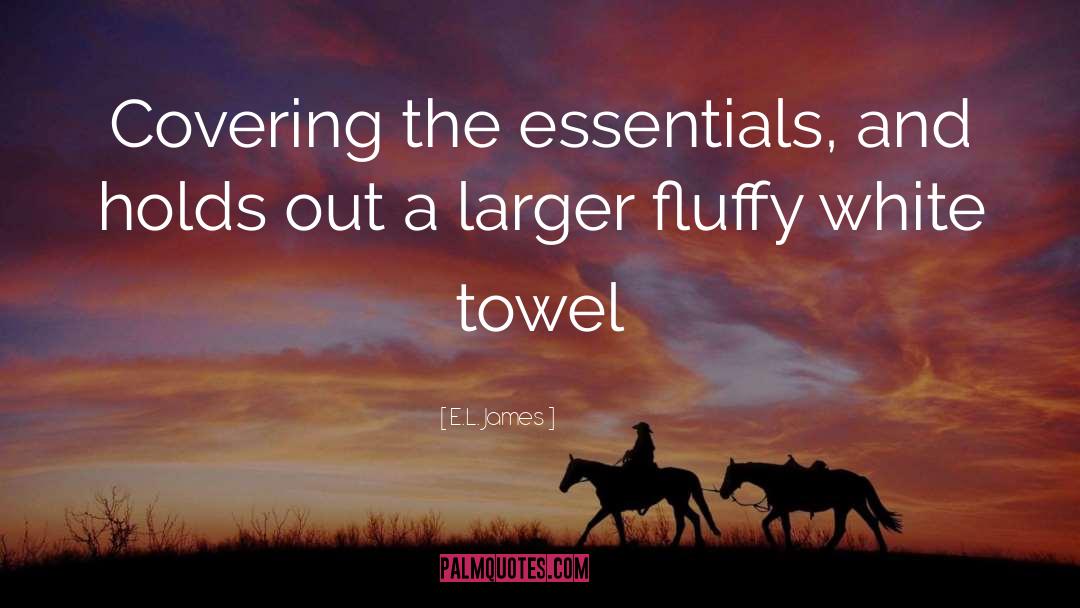 Essentials quotes by E.L. James