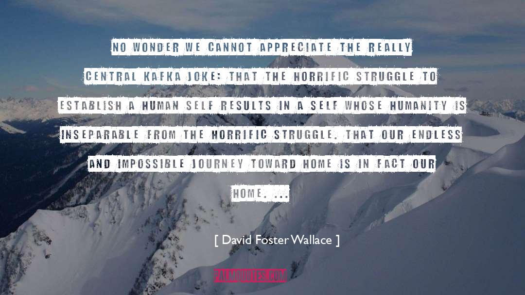 Establish Victory quotes by David Foster Wallace