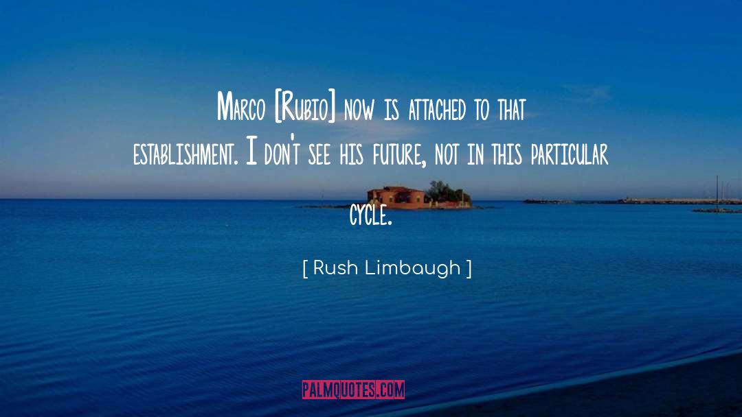 Establishment quotes by Rush Limbaugh