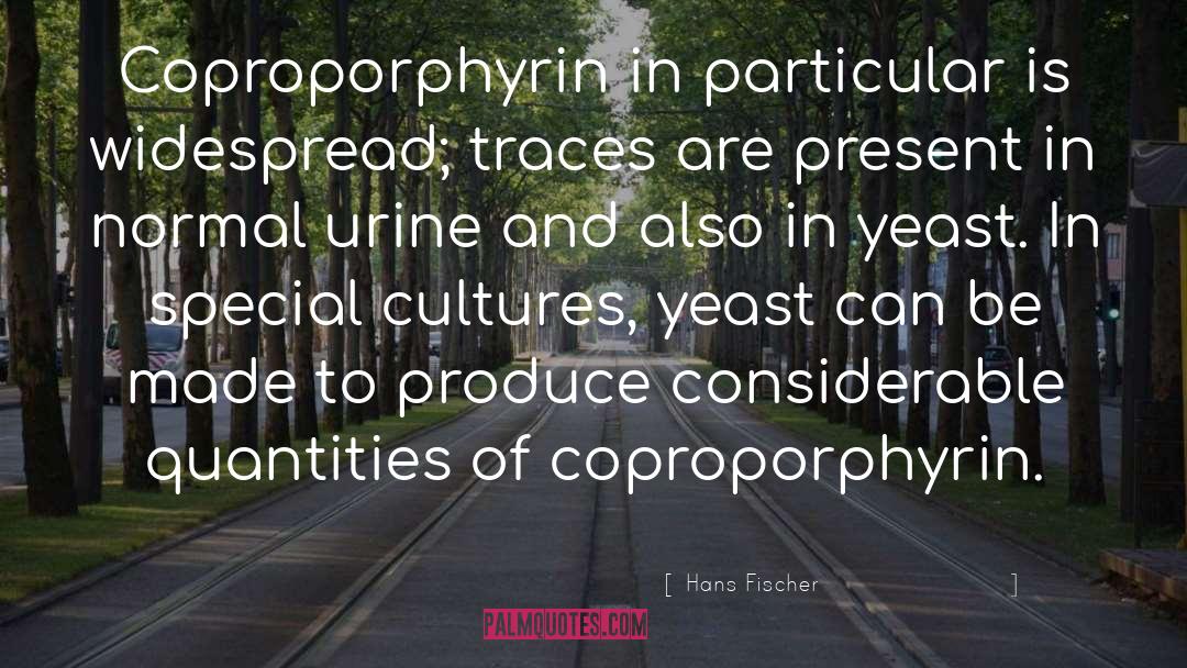 Estery Yeast quotes by Hans Fischer