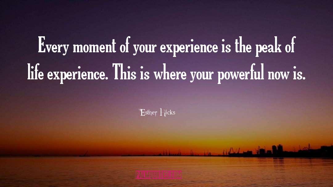 Esther Hicks quotes by Esther Hicks