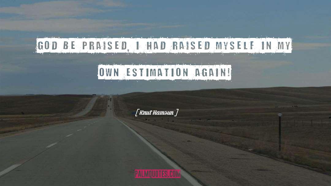 Estimation quotes by Knut Hamsun