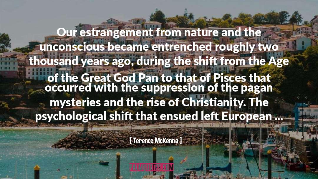 Estrangement quotes by Terence McKenna