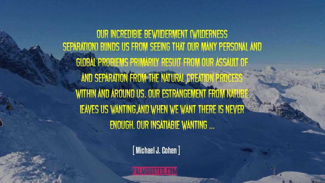 Estrangement quotes by Michael J. Cohen