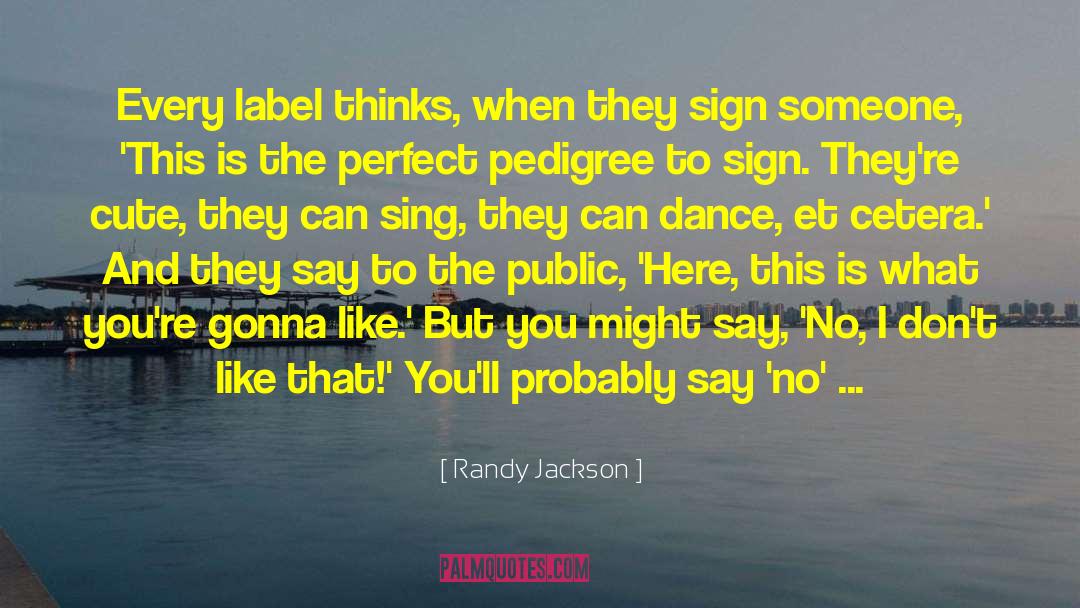 Et Cetera quotes by Randy Jackson