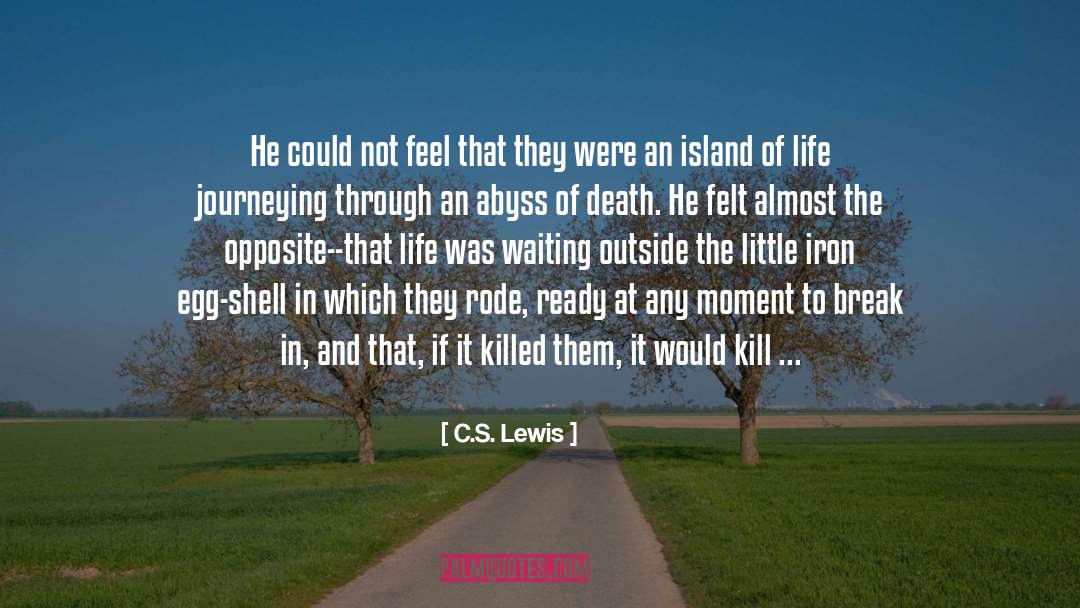 Eternal Flame quotes by C.S. Lewis