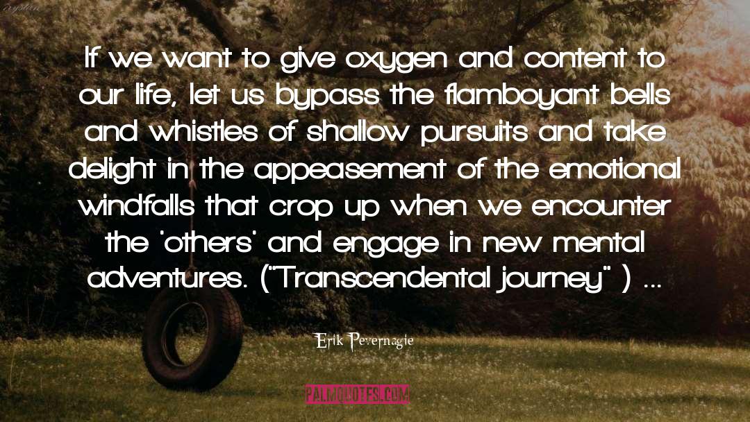 Eternal Journey quotes by Erik Pevernagie