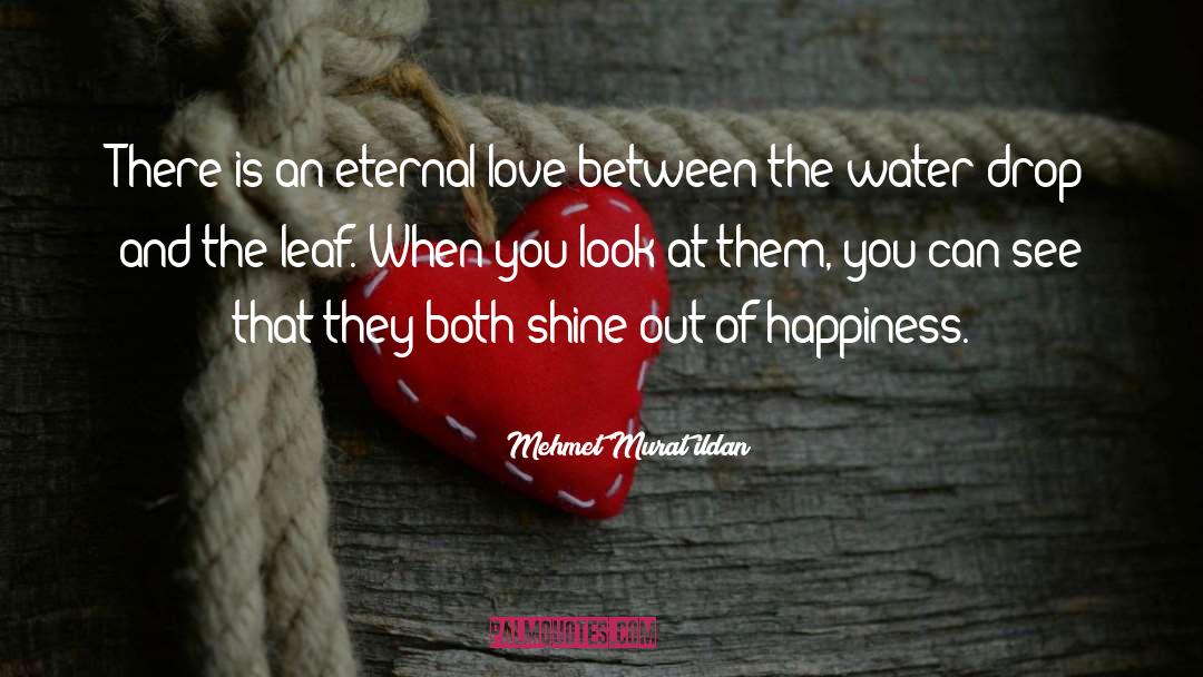 Eternal Love quotes by Mehmet Murat Ildan