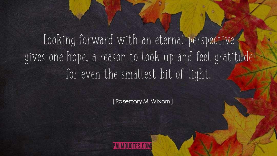 Eternal Perspective quotes by Rosemary M. Wixom