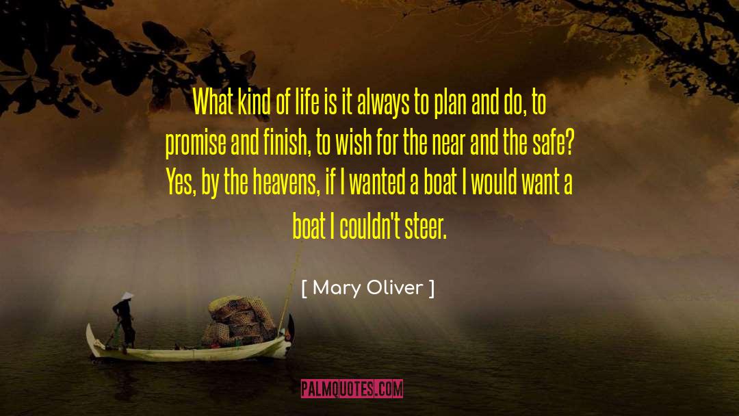 Eternal Plan quotes by Mary Oliver