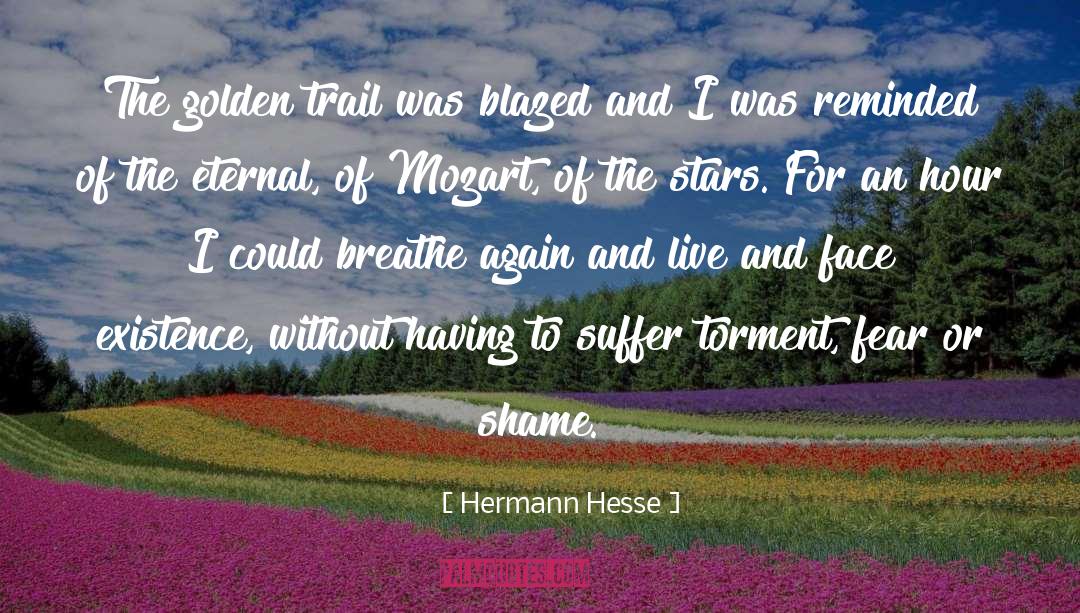 Eternal Punishment quotes by Hermann Hesse