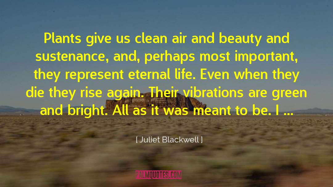 Eternal Starling quotes by Juliet Blackwell