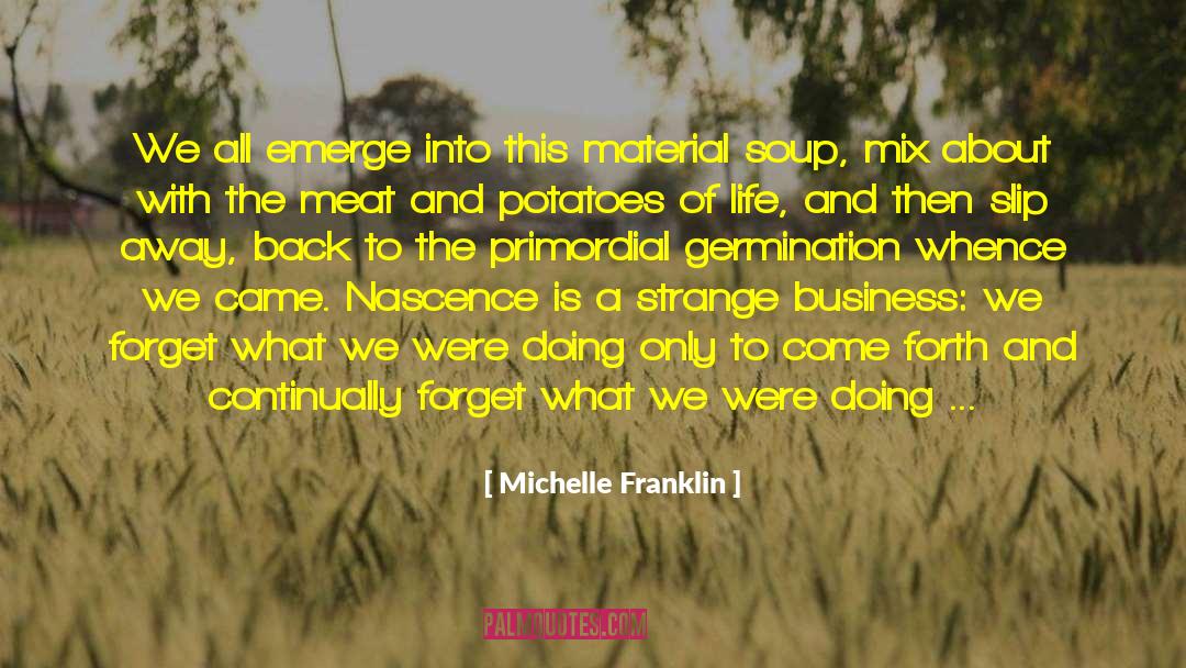 Ethereal Revelations quotes by Michelle Franklin