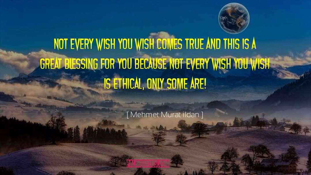 Ethical Behavior quotes by Mehmet Murat Ildan