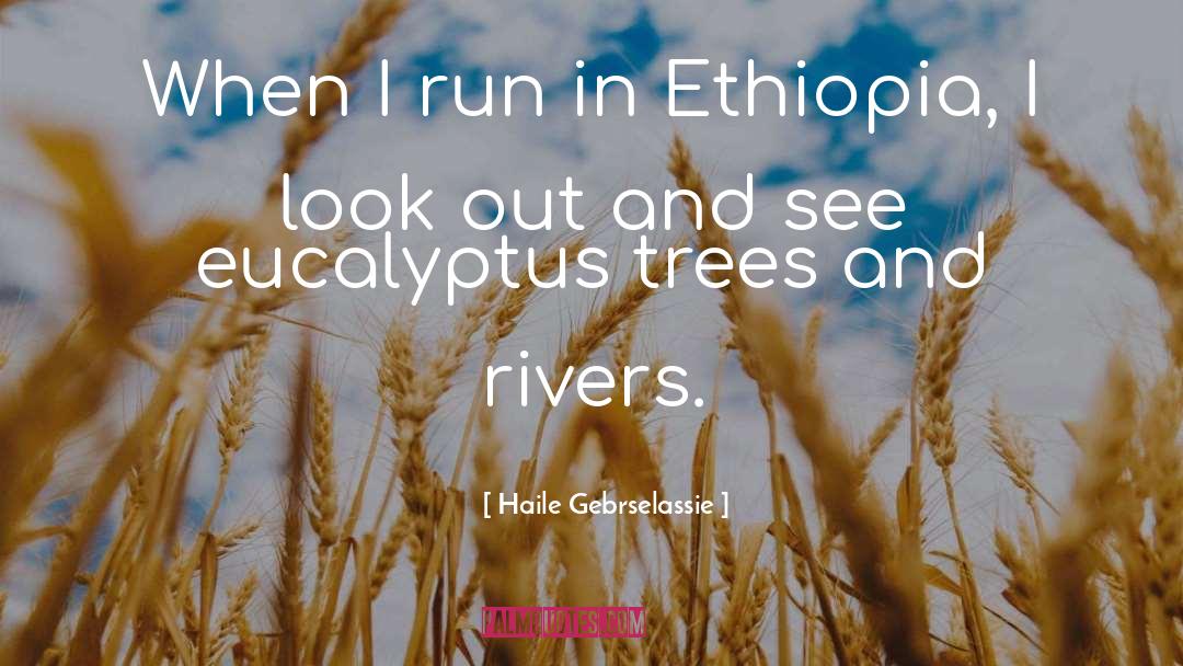 Ethiopia Antiquities quotes by Haile Gebrselassie