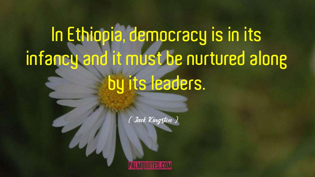 Ethiopia Antiquities quotes by Jack Kingston