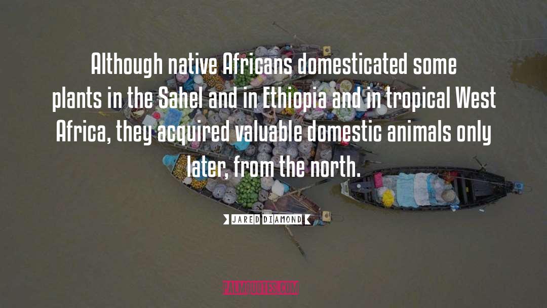 Ethiopia quotes by Jared Diamond