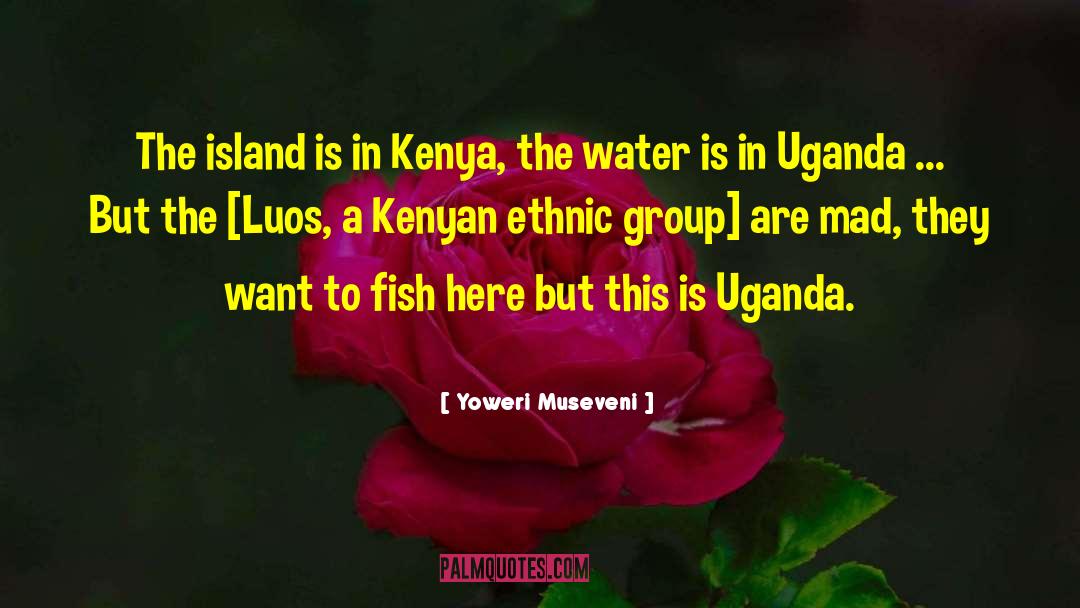 Ethnic Group quotes by Yoweri Museveni