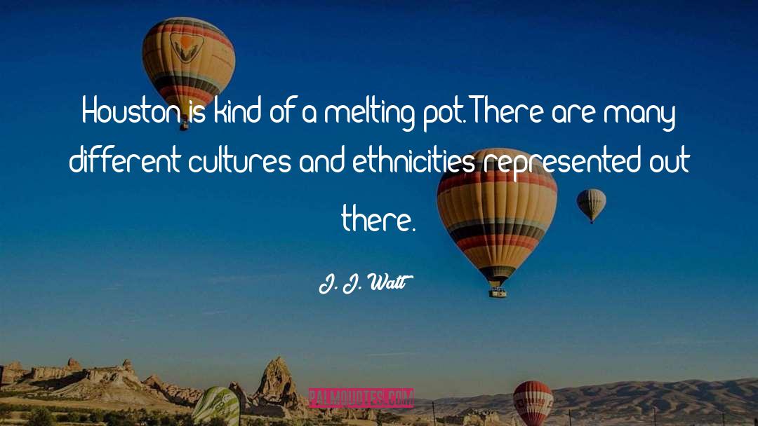 Ethnicity quotes by J. J. Watt