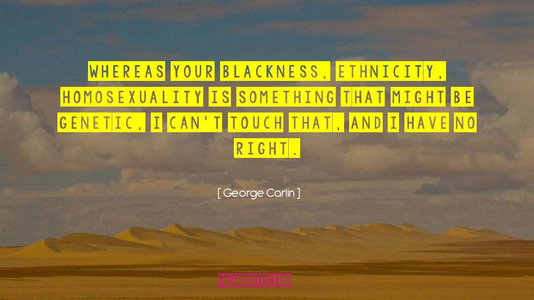 Ethnicity quotes by George Carlin