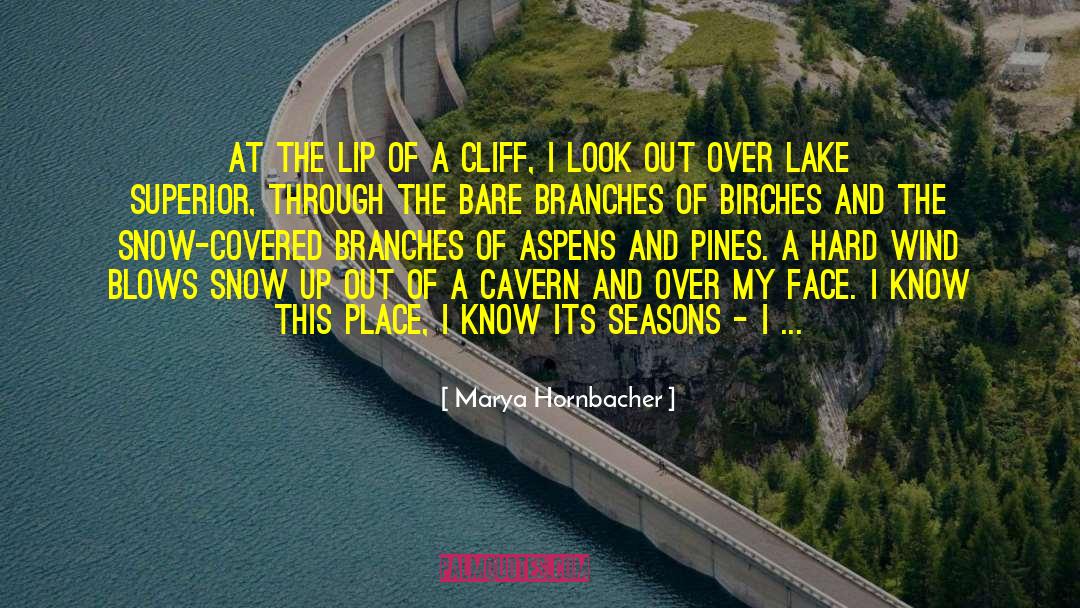 Etretat Cliff quotes by Marya Hornbacher