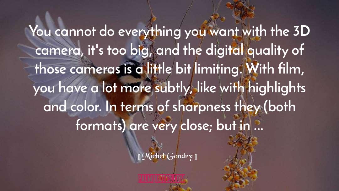 Euchre 3d quotes by Michel Gondry