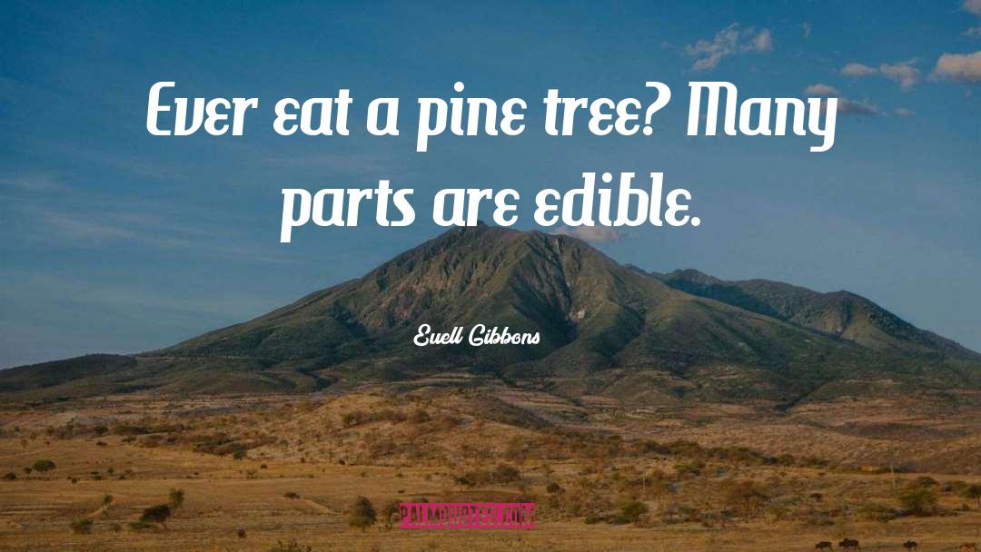 Euell Gibbons Pine Cone Quote quotes by Euell Gibbons