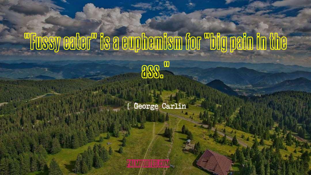 Euphemism quotes by George Carlin