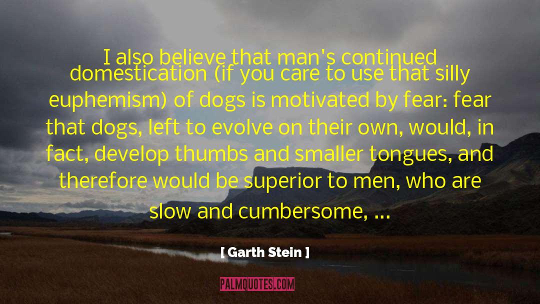 Euphemism quotes by Garth Stein