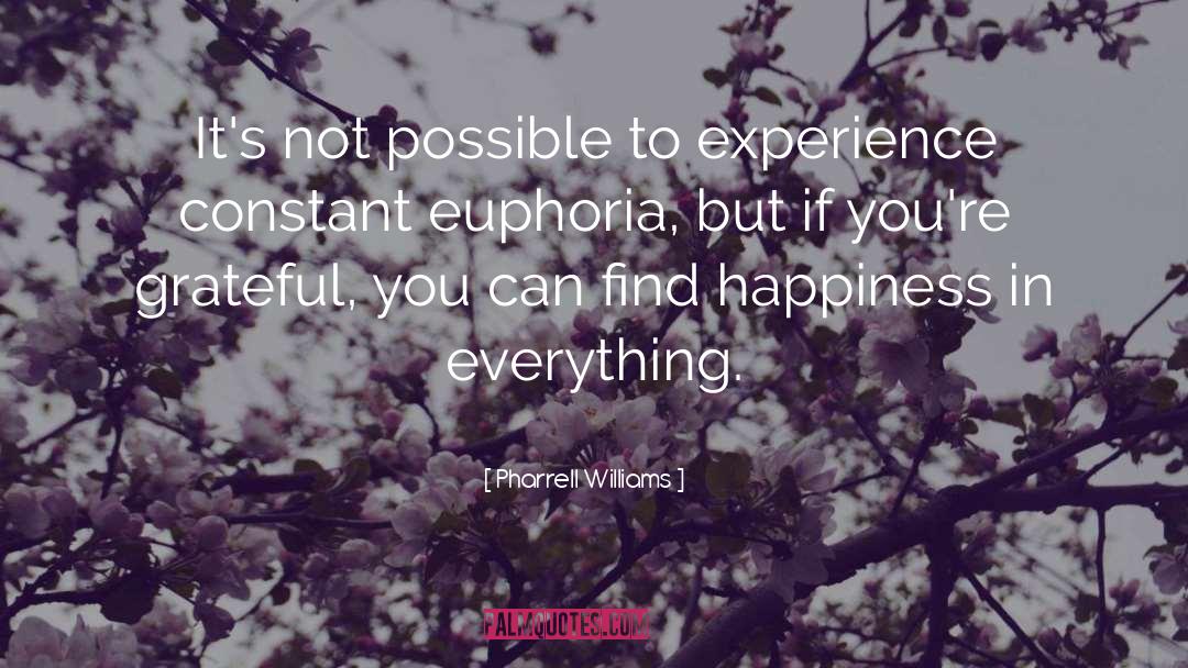 Euphoria quotes by Pharrell Williams