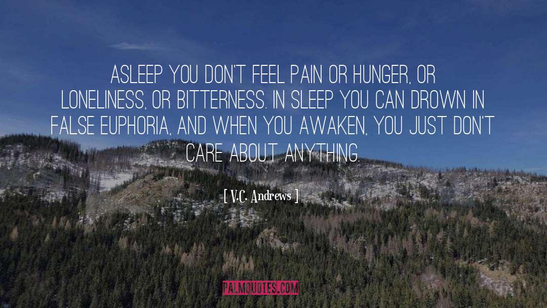 Euphoria quotes by V.C. Andrews