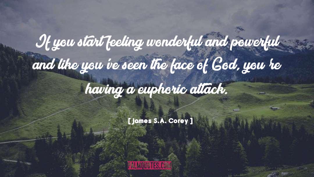 Euphoric Attack quotes by James S.A. Corey