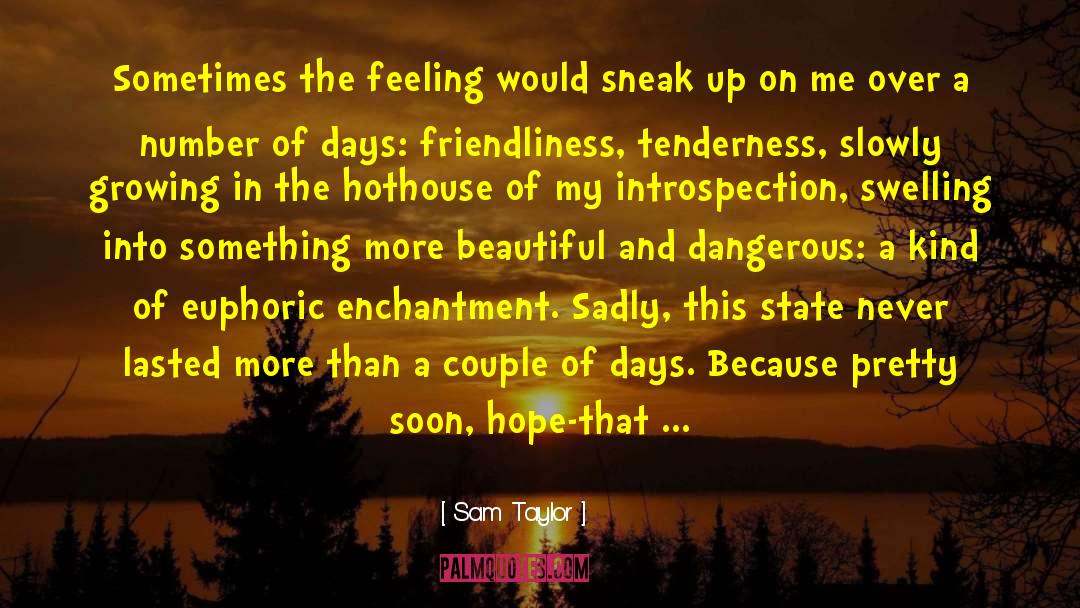 Euphoric quotes by Sam Taylor