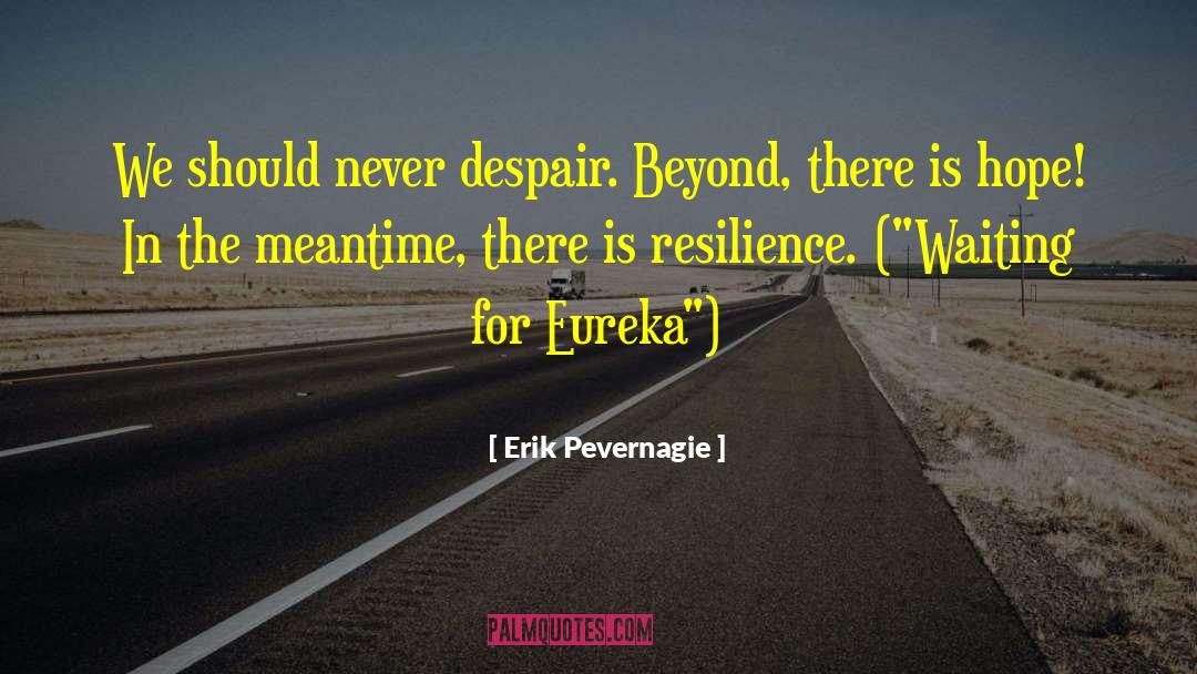 Eureka quotes by Erik Pevernagie