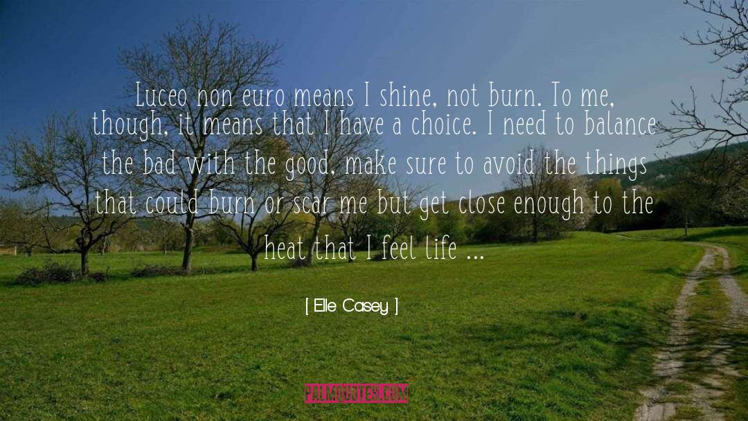 Euro quotes by Elle Casey